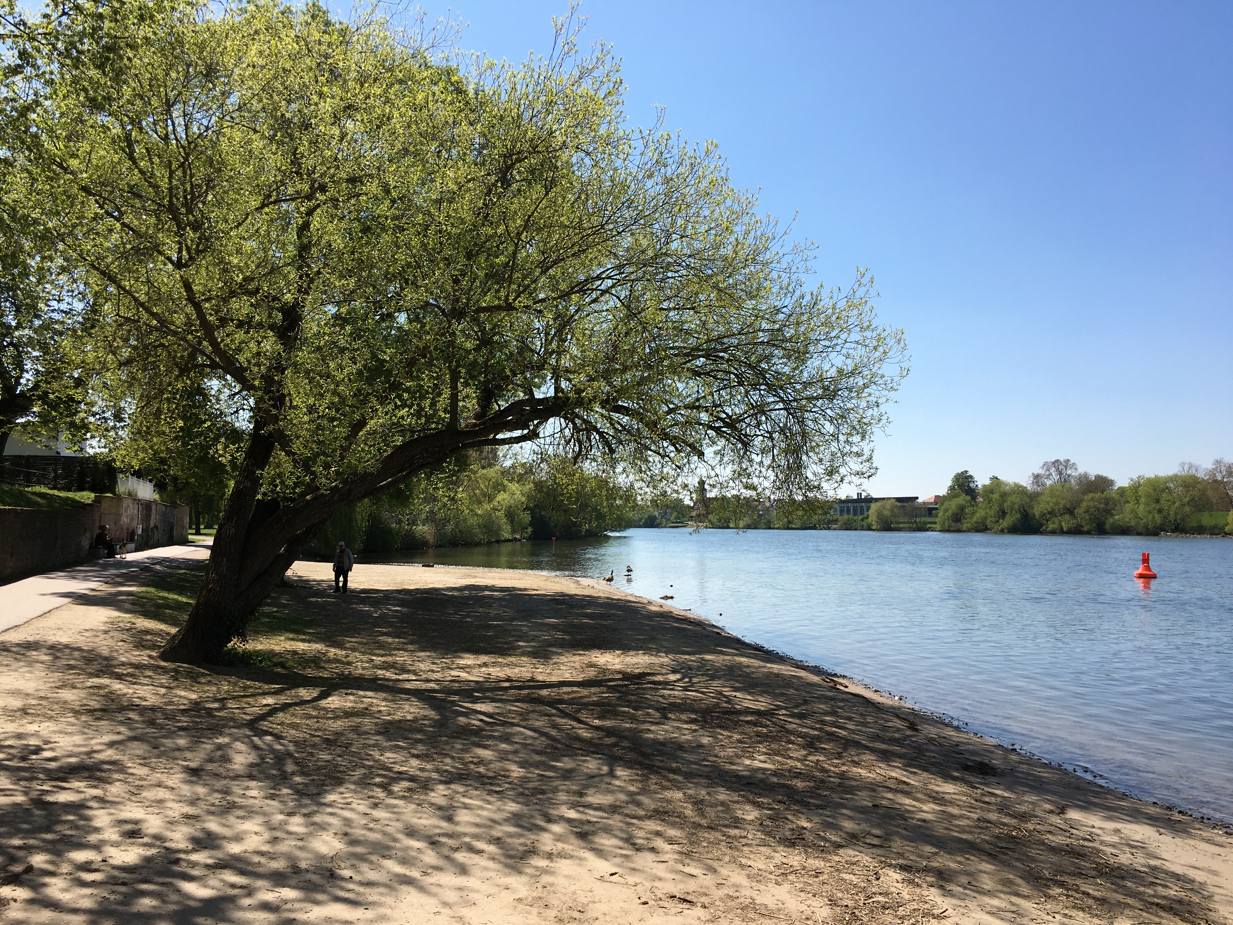 Sandstrand Ladenburg, 2021 Sandstrand am Neckar