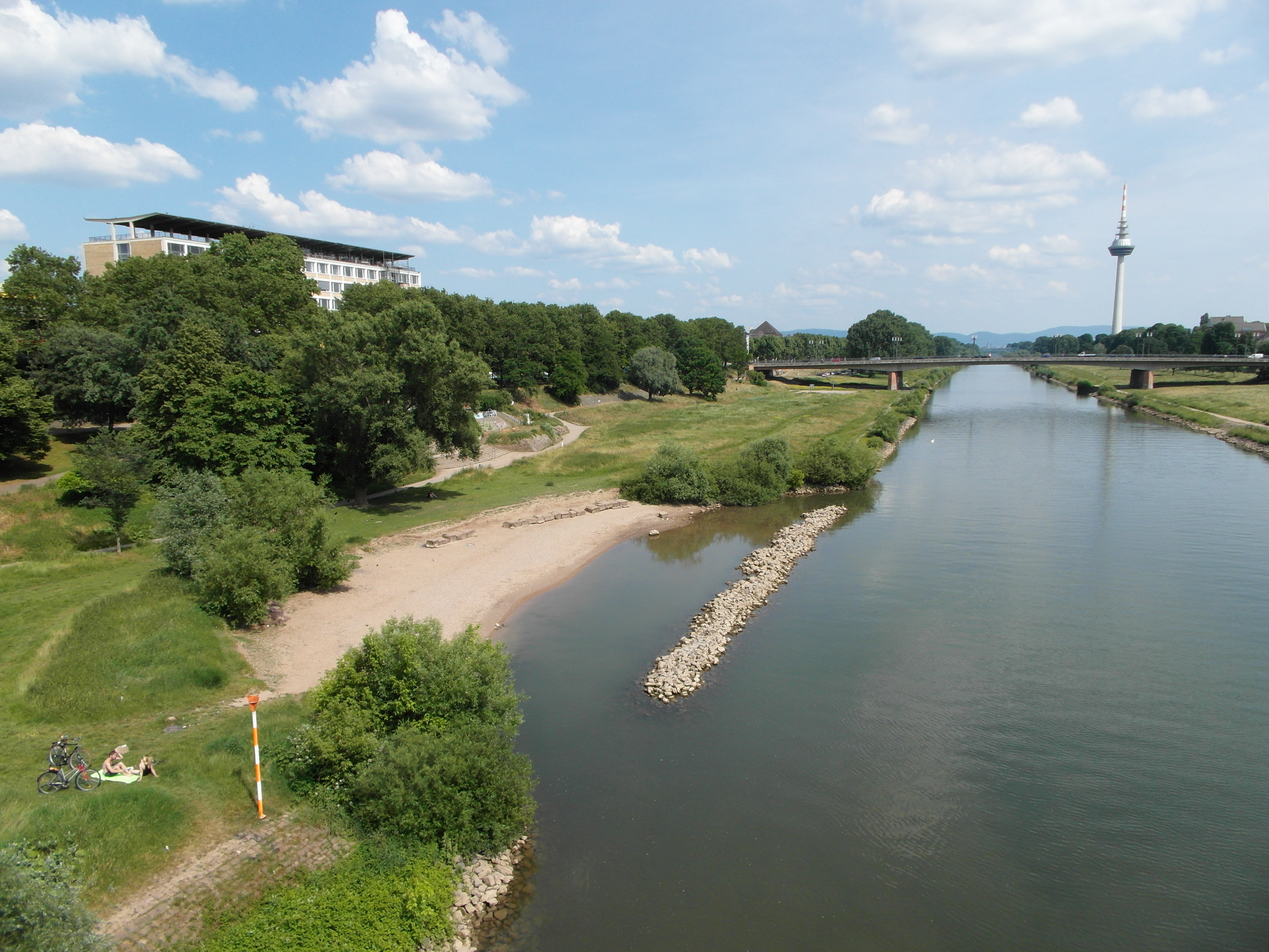 Renaturierter Neckarabschnitt in Mannheim Luftaufnahme eines renaturierten Neckarufers mit Sandstrand, Grünflächen und Flusslauf in Mannheim