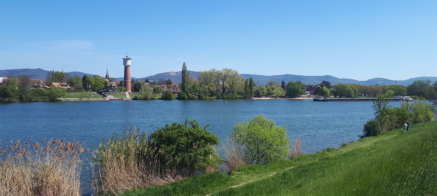 Landschaft im Verbandsgebiet Flussufer mit Grünflächen und Ortschaft vor bewaldeten Hügeln im Verbandsgebiet Heidelberg und Mannheim